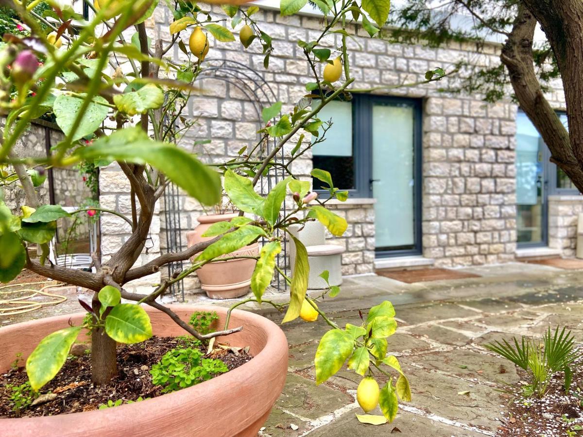 Le Due Palme Bed & Breakfast Sirolo Exterior photo