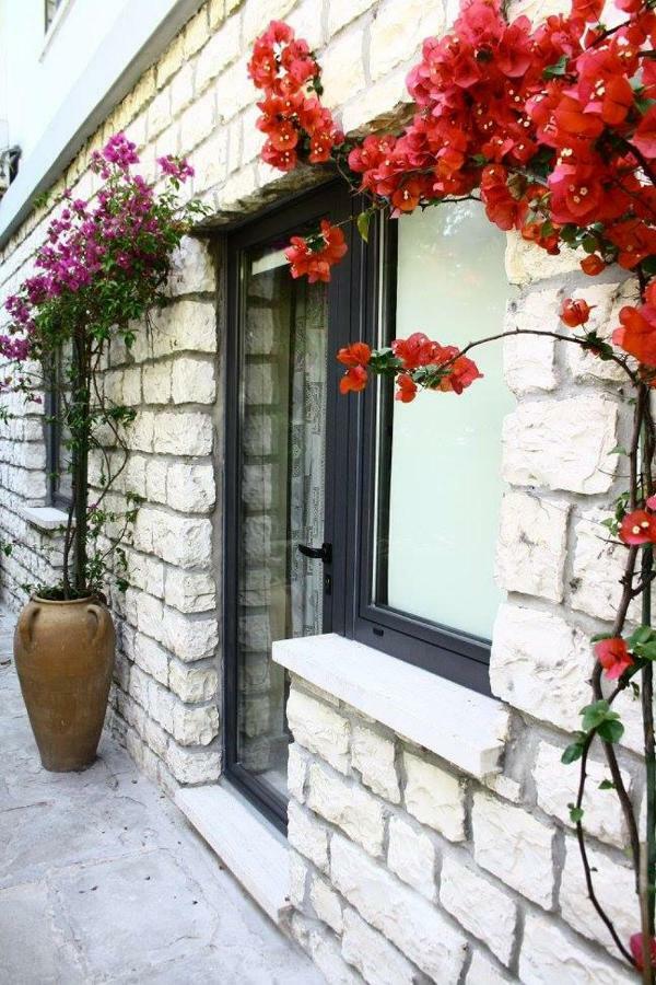Le Due Palme Bed & Breakfast Sirolo Exterior photo